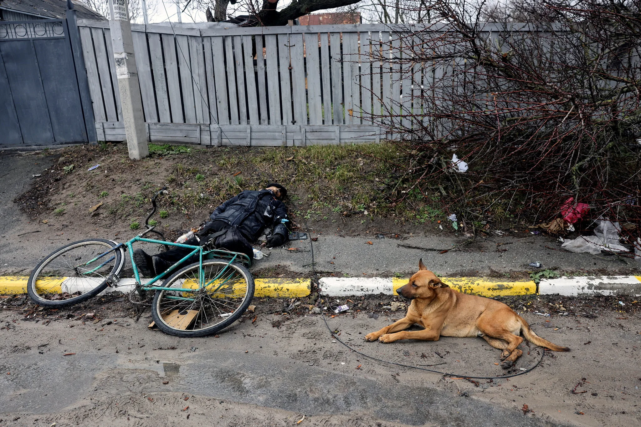 Body of a civilian lying next to a bicycle on a sidewalk in Bucha. A dog sits nearby on a leash.